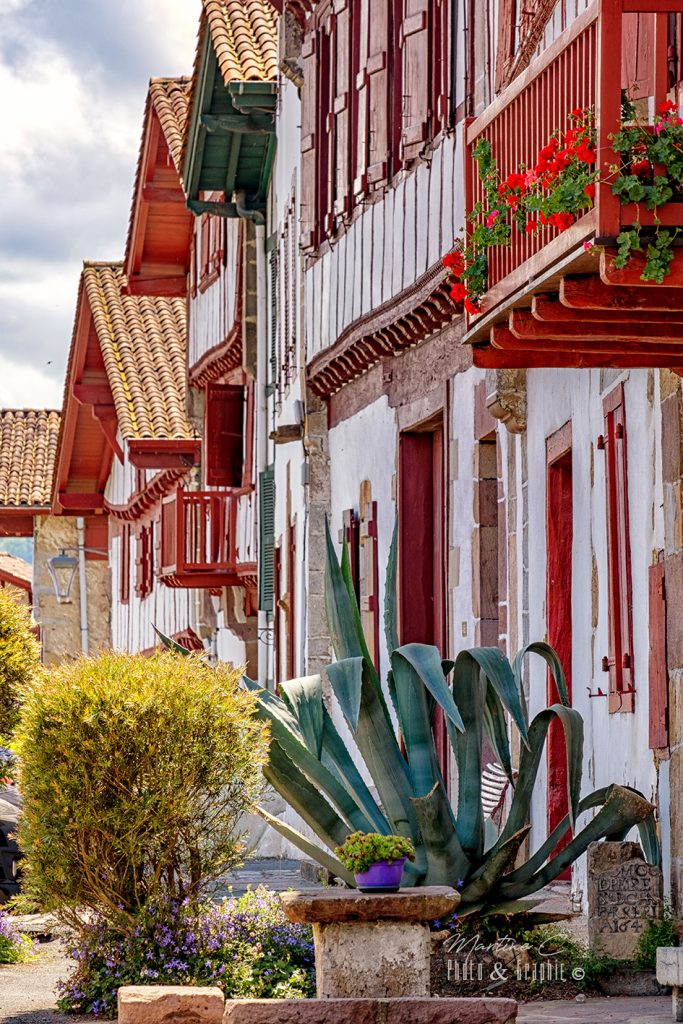 L'agave d'Ainhoa