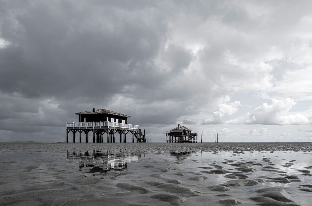 Cabanes Tchanquées de l'île aux Oiseaux, Bassin d'Arcachon