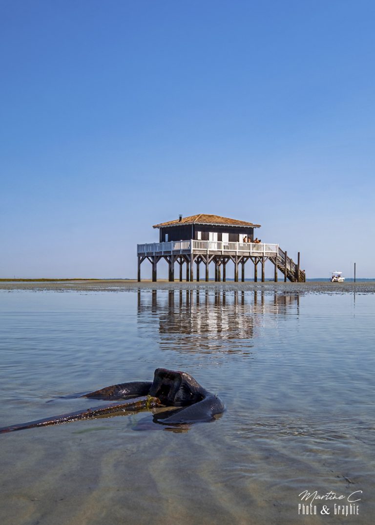 Cabane Tchanquée 53 se reflétant dans l'eau, une ancre au premier plan, Bassin d'Arcachon