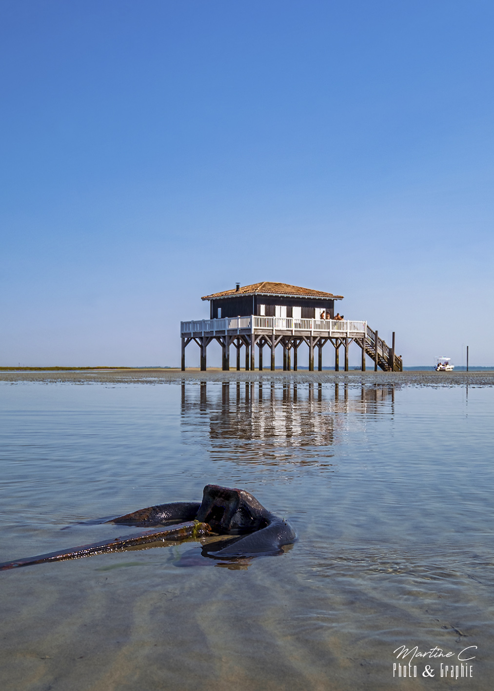Cabane Tchanquée 53 se reflétant dans l'eau, une ancre au premier plan, Bassin d'Arcachon