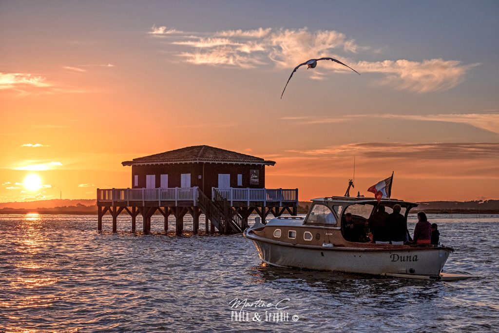 Cabane Tchanquée 53, pinasse Dune et goéland au coucher du soleil, Bassin d'Arcachon