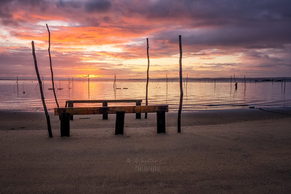 Presqu'île du Cap Ferret, Bassin d'Arcachon