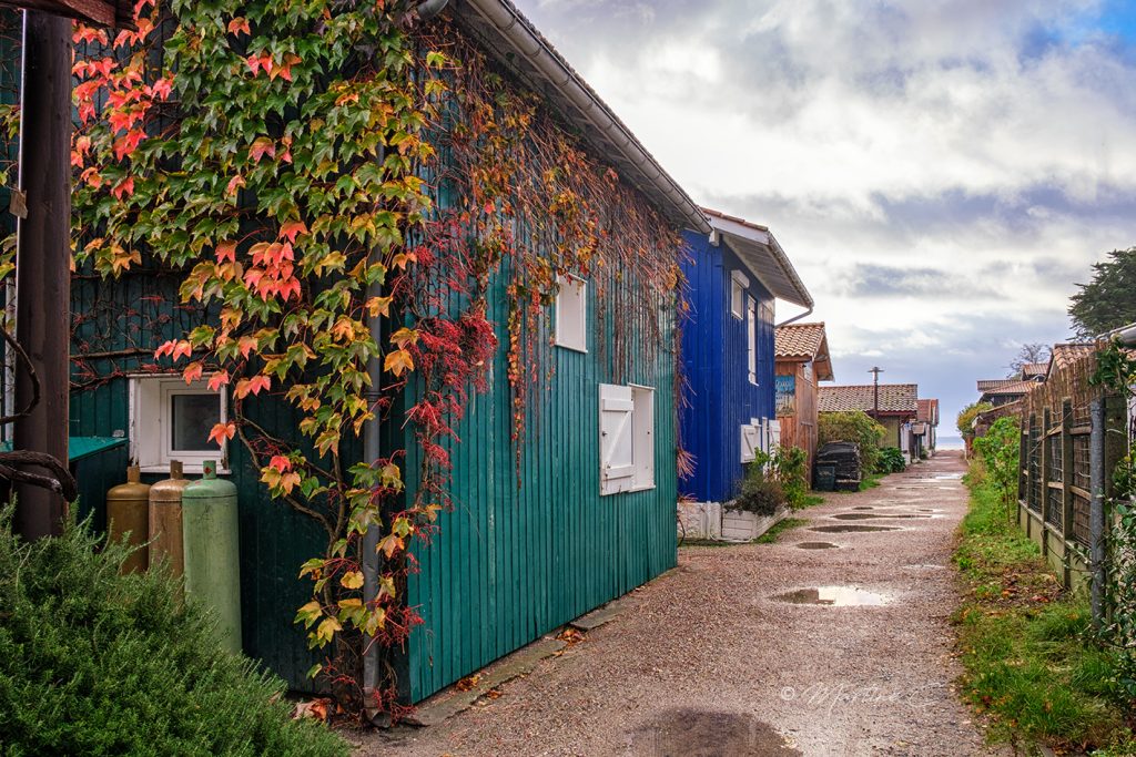 Ruelle du village du Canon après la pluie, Cap Ferret