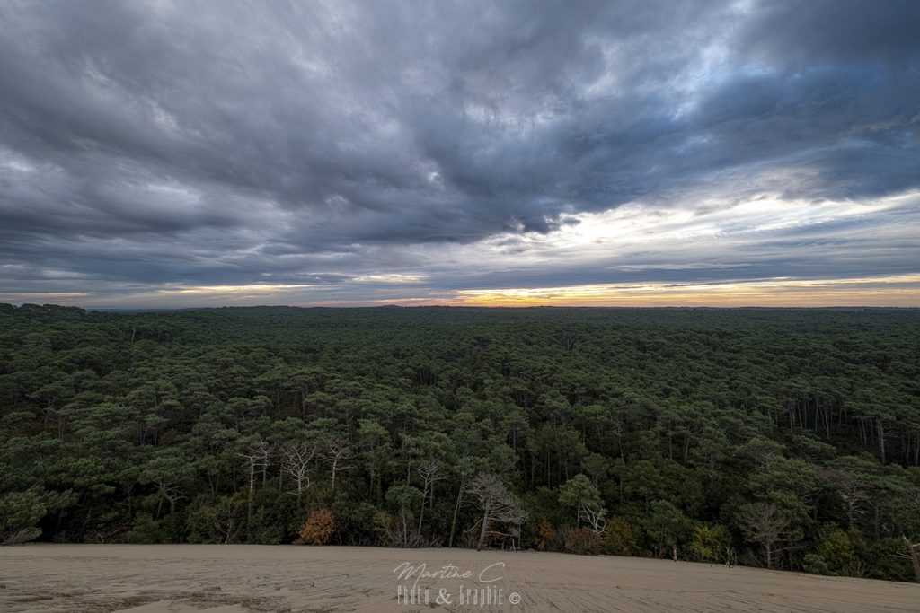 Nuages au-dessus de la canopée de la dune du Pilat