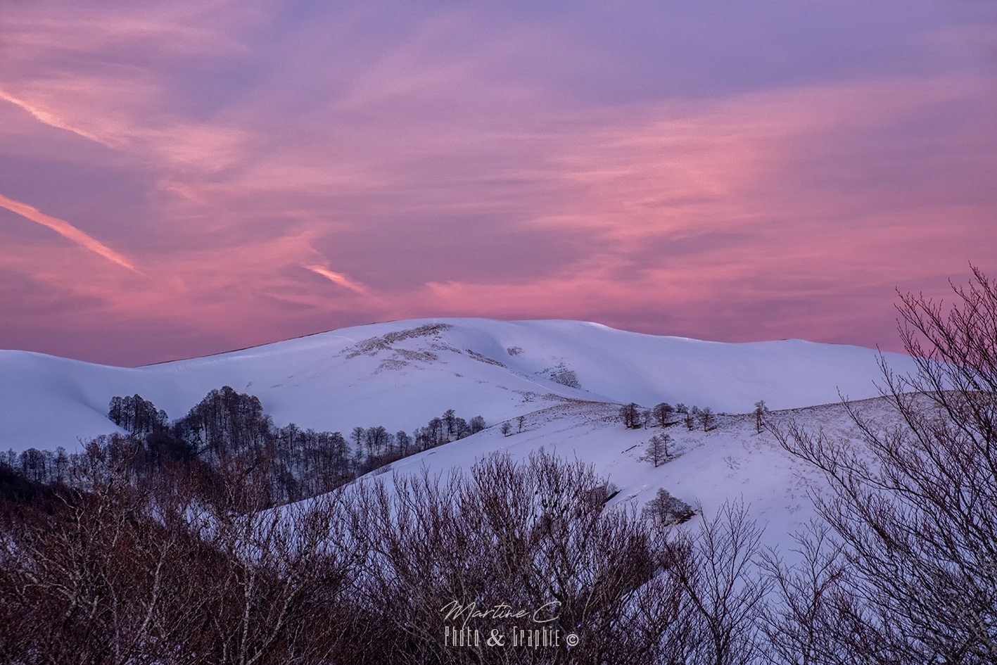 Forêt d'Iraty au petit matin, Pays Basque