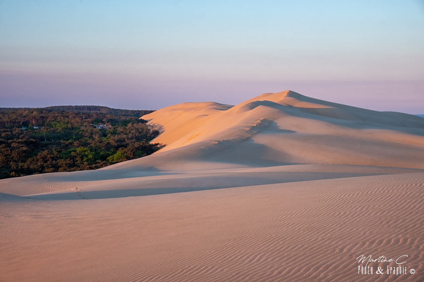 Dune du Pilat et la forêt sur la gauche, Bassin d'Arcachon