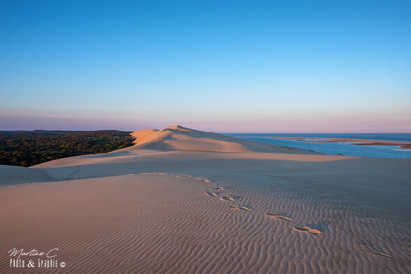 Vue depuis le sommet de la dune du Pilat sur la forêt et le banc d'Arguin