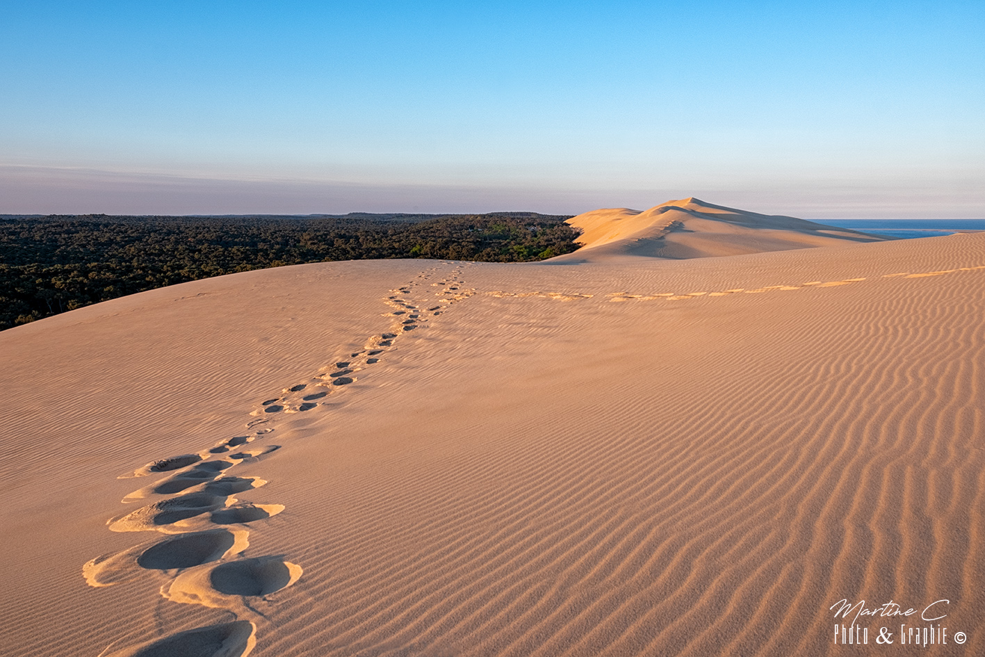 Lever de soleil sur la dune du Pilat, la forêt à gauche et l'océan à droite