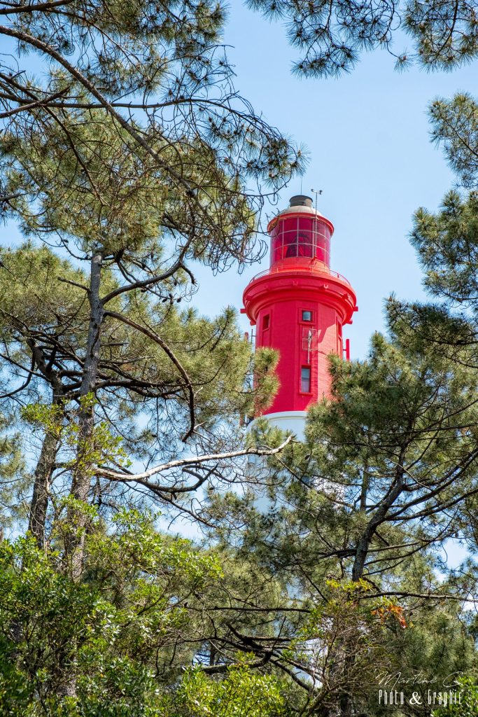 Phare du Cap Ferret dans son écrin de verdure