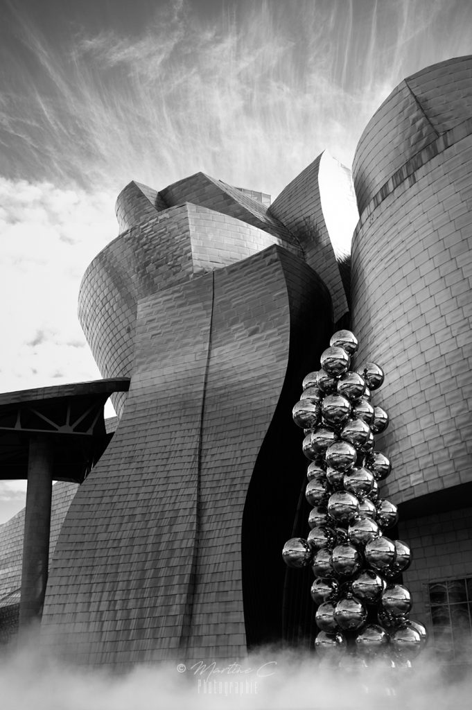 Architecture du musée Guggenheim de Bilbao, noir et blanc