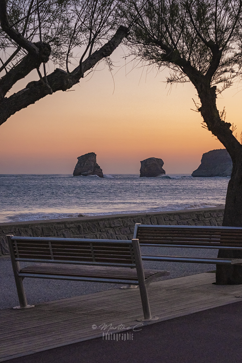Deux bancs, deux tamaris et les Deux Jumeaux, plage d'Hendaye