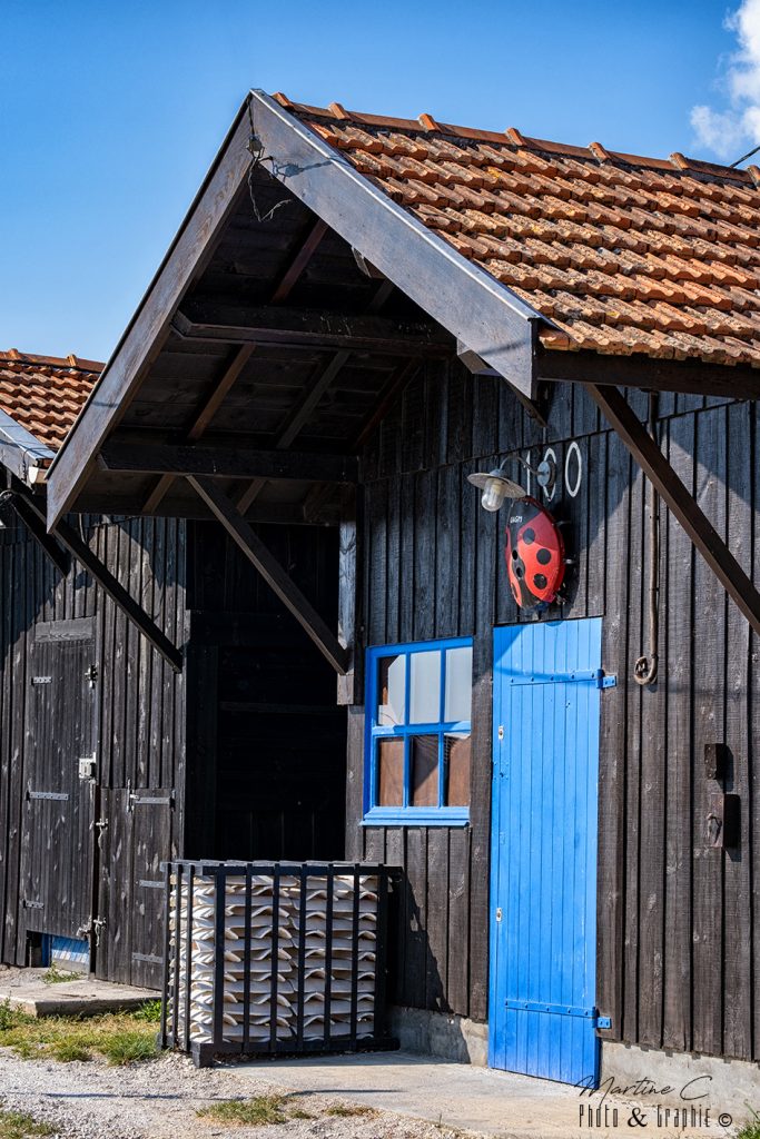 Cabane ostréicole à porte bleue et coccinelle, Gujan-Mestras
