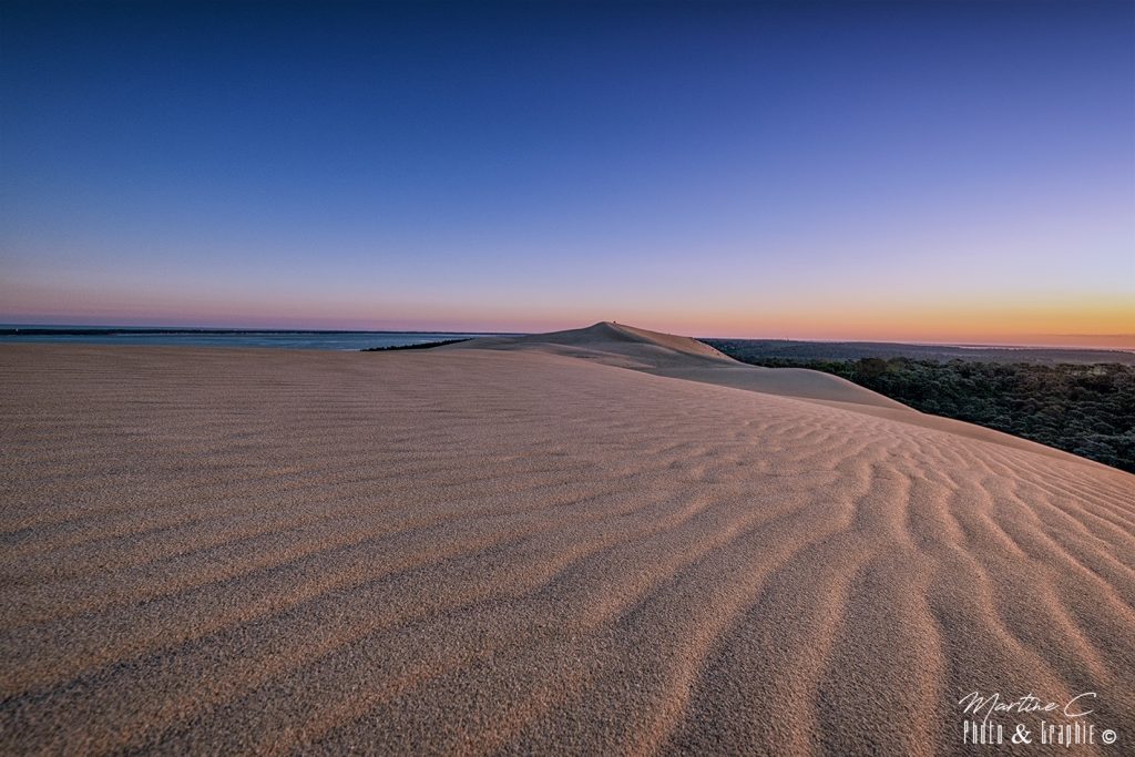 Dune du Pilat au petit matin sans trace de pas, la forêt à droite et l'océan à gauche
