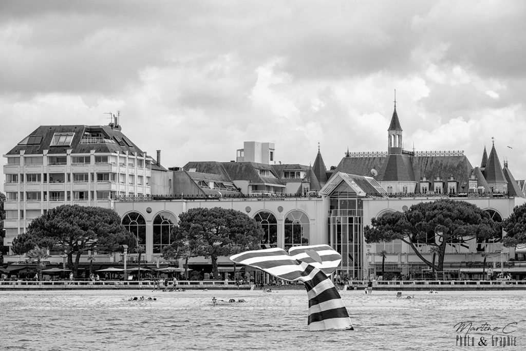 Queue de la baleine devant le palais des congrès et le château Deganne, Arcachon, noir et blanc