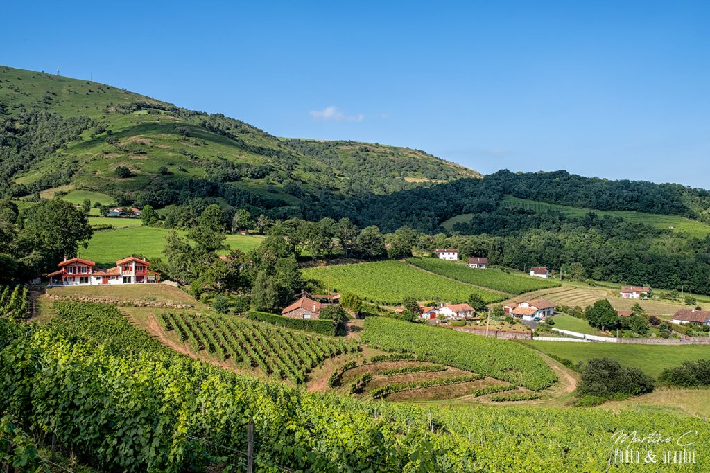 Vignoble Brana, Ispoure, Pays Basque