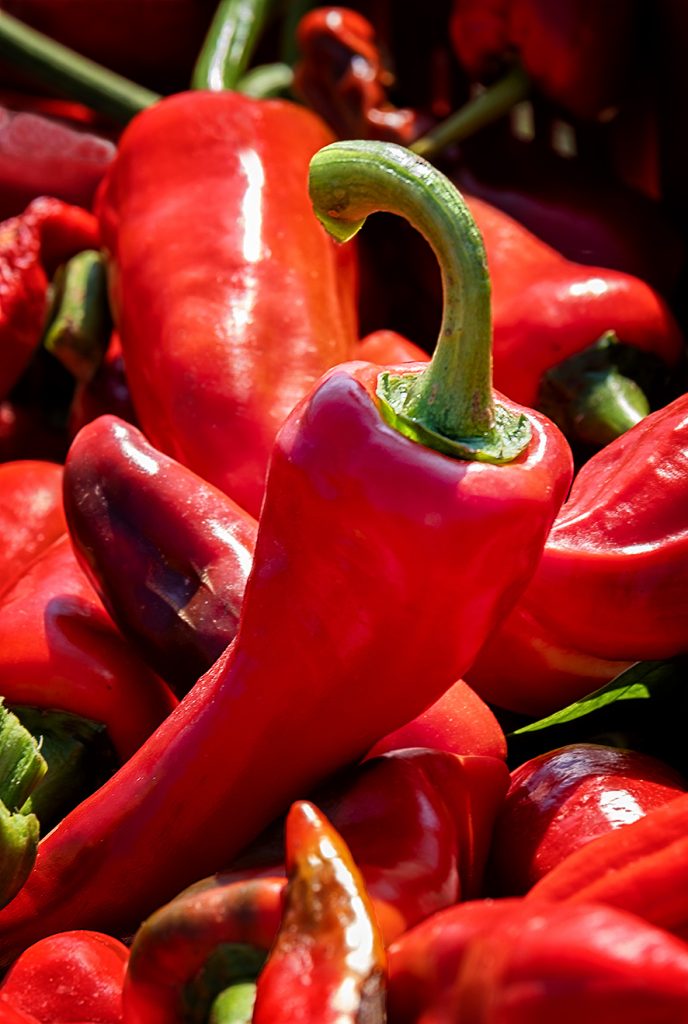 Piments d'Espelette, Pays Basque