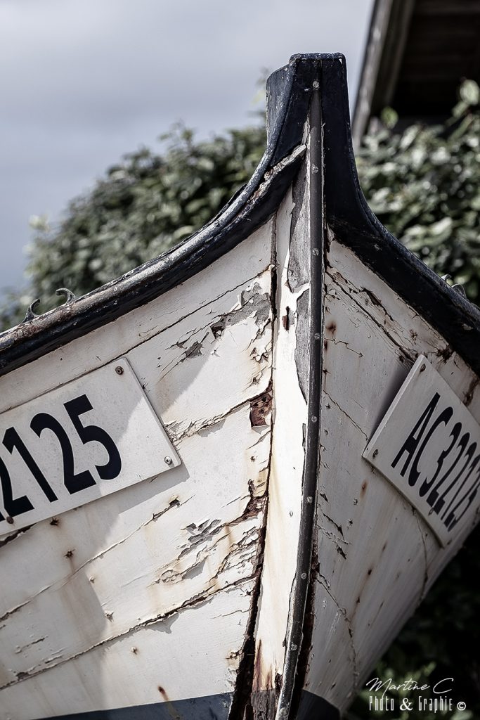 Avant de la pinasse abandonnée Suzanne, Bassin d'Arcachon